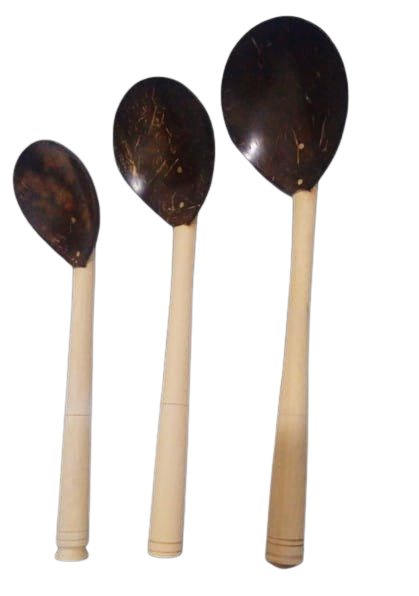 Coconut shell spoons